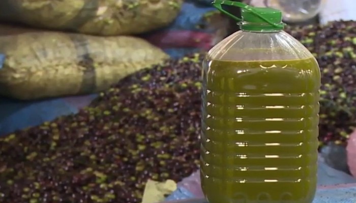 الحكومة تواجه غلاء زيت الزيتون بتقييد الصادرات