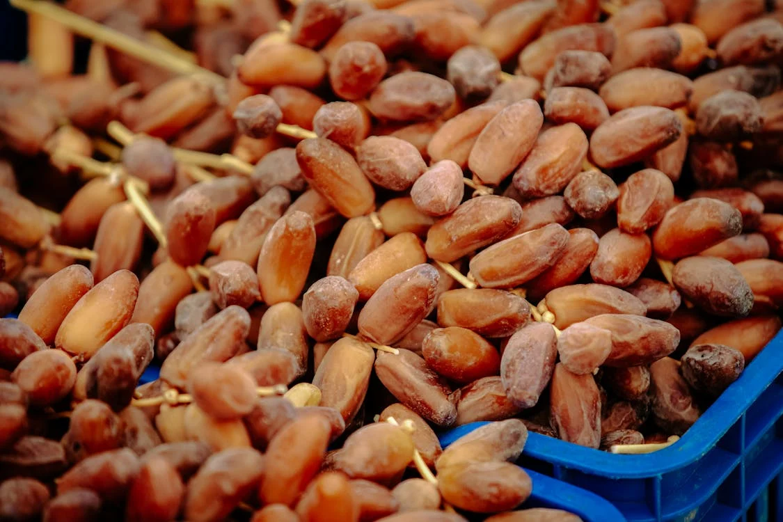 مديرة تنفيذية: انضمام المغرب إلى المجلس الدولي للتمور يعزز مكانة المجلس كقيمة مضافة نوعية