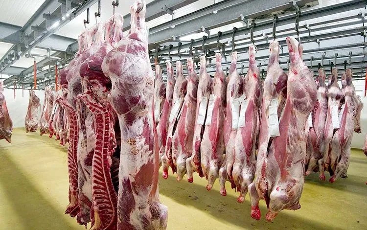 أزمة اللحوم الحمراء.. اعتماد 120 مجزرة بحلول 2030
