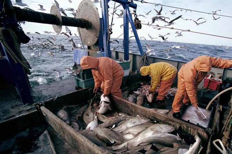 اللجنة المشتركة المغربية- الأوربية: اتفاقية الصيد البحري ما تزال سارية المفعول"