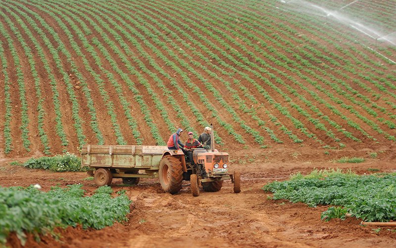 هذه تفاصيل القيد الإلكتروني في السجل الوطني الفلاحي
