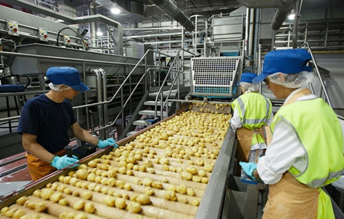 مؤشرات الصناعات الغذائية تهوي ببورصة البيضاء