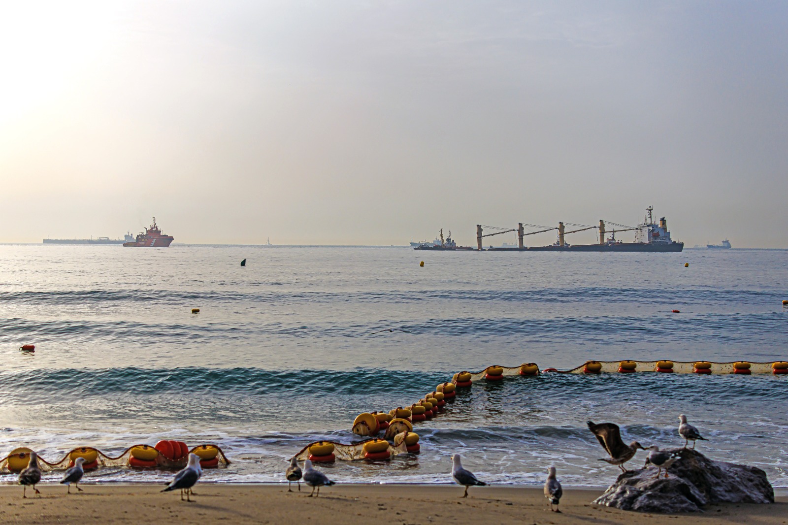 مهنيو الصيد البحري بطنجة متخوفون من تأثير غرق سفينة للنفط على الثروة السمكية بالمنطقة