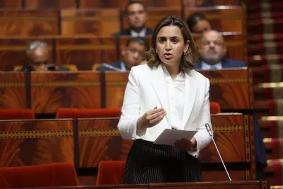 مزور: رقمنة 45 % من وثائق الاستثمار في 2023