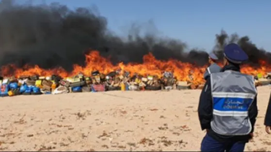 إتلاف حوالي 6.5 أطنان من مخدر الشيرا بالداخلة