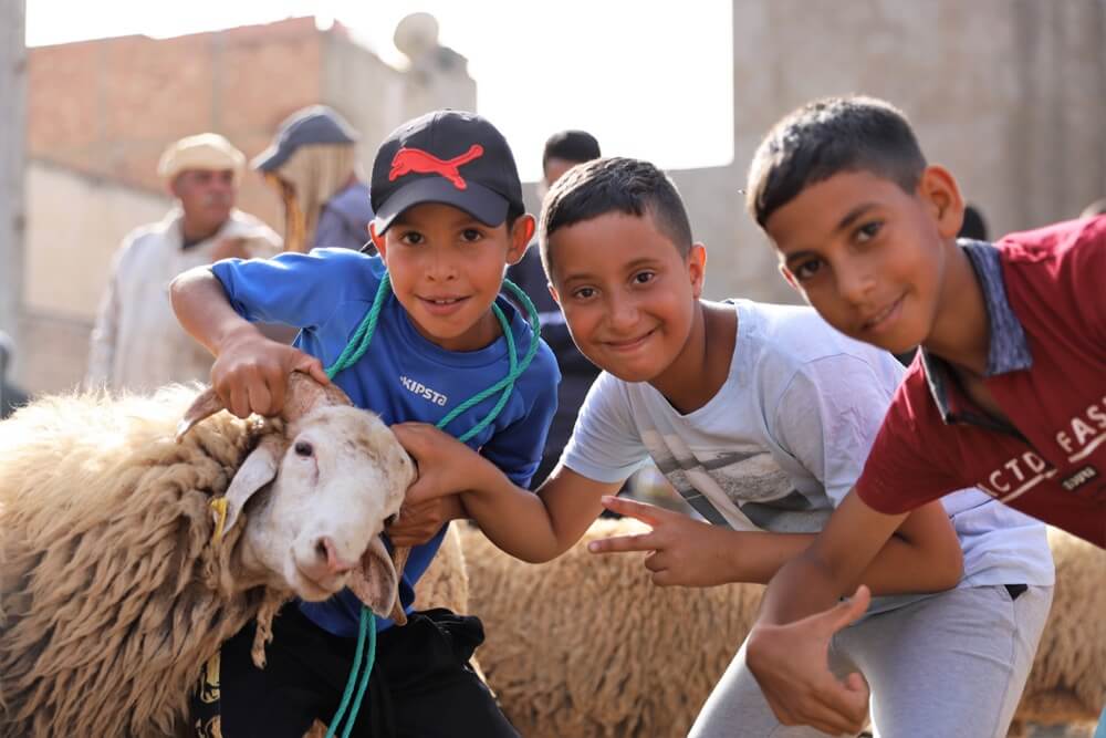 هذا موعد الاحتفال بعيد الأضحى المبارك في المغرب