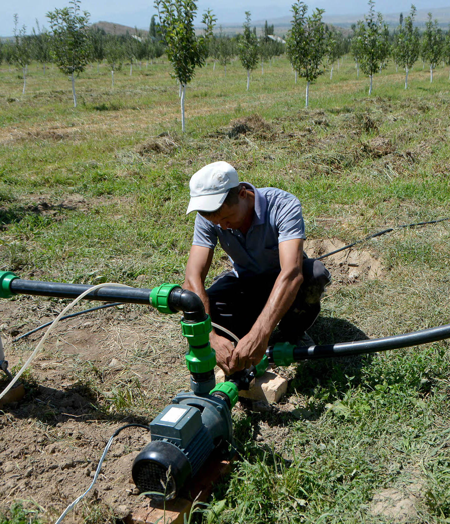 توصيات بوقف هدر الغذاء وتعزيز الابتكار الفلاحي لتجاوز أزمة الإجهاد المائي