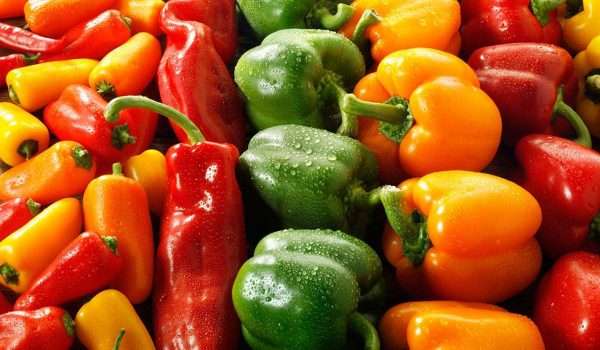 المغرب يحقق رقما قياسيا في تصدير الفلفل إلى إسبانيا