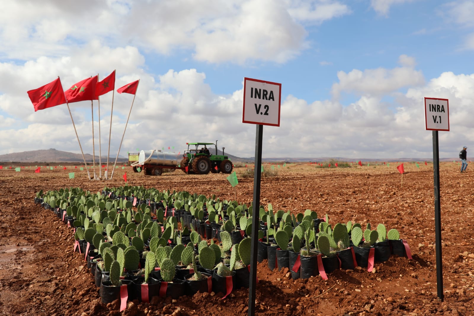 كراء الأراضي الفلاحية بجهة العيون.. رهان على إنتاج 9500 طن من الخضراوات سنويا