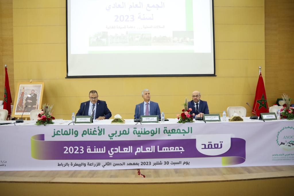 صديقي يشدد أمام المهنيين على أهمية سلاسل اللحوم الحمراء في الأمن الغذائي