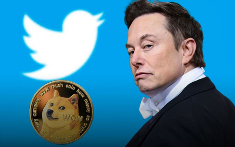 عملة "دوغ كوين" تقفز بـ30 % بعد هذه التغريدة من "إيلون ماسك"