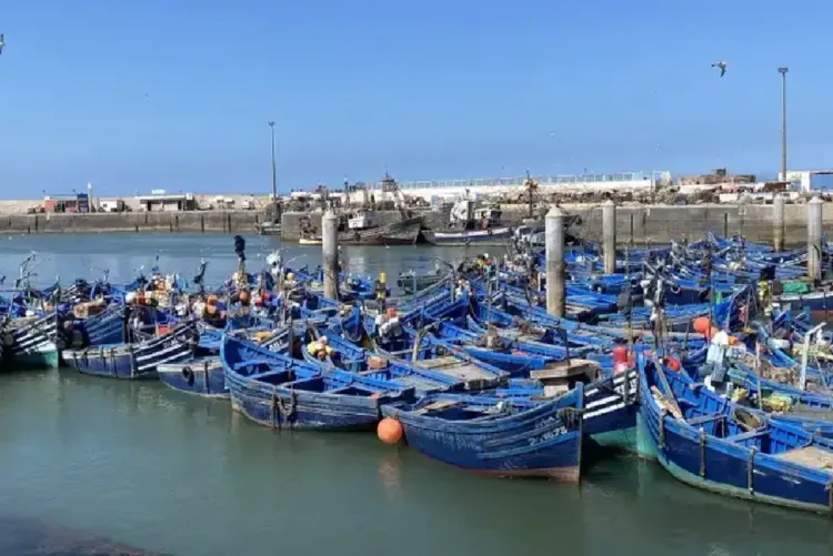 مفرغات الصيد بالداخلة تهوي 57%