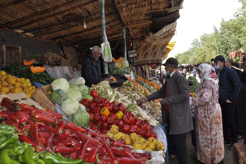 تعزيز التعاون بين دول شمال إفريقيا محور ندوة حول الأمن الغذائي والطاقي